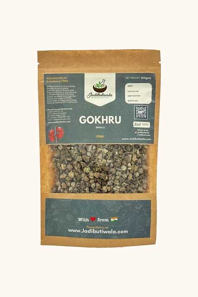 Gokhru (गोखरू)