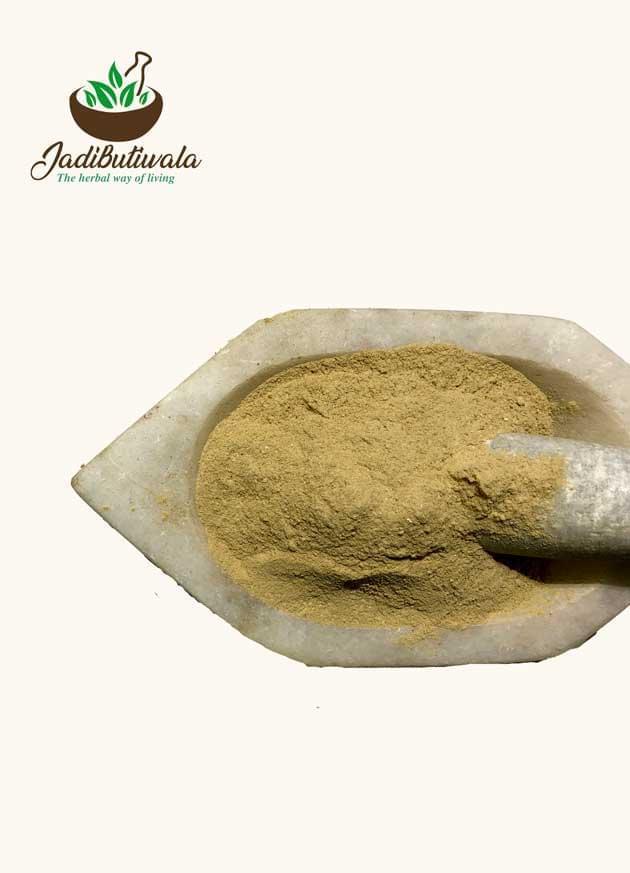 Orange Peel Powder (संतरा छिलके का पाउडर) - Jadibutiwala