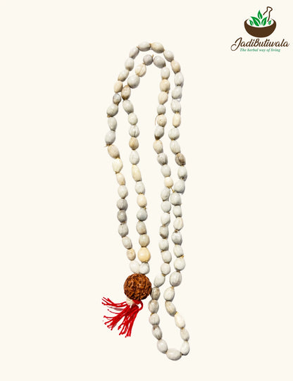 Vaijanti Mala with 5 Mukhi Rudraksh