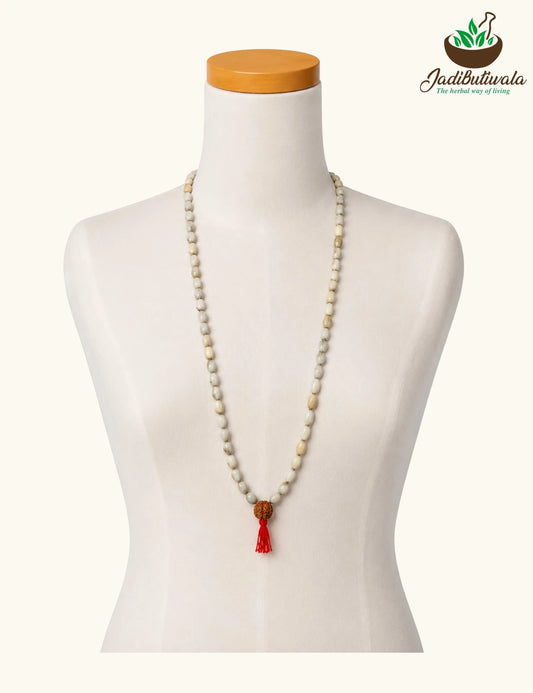 Vaijanti Mala with 5 Mukhi Rudraksh
