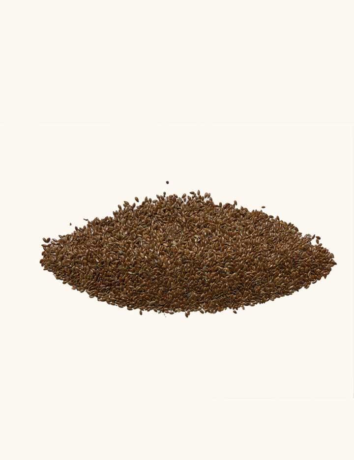 Flax Seeds (अलसी बीज) - Jadibutiwala
